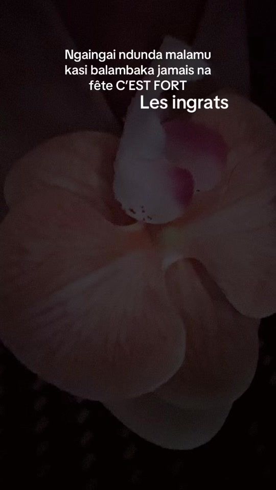TikTok video thumbnail by mdm_ycl_promax_martins