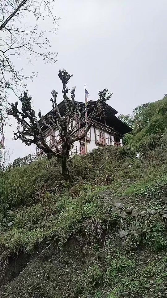 TikTok video thumbnail by sonampakey4566