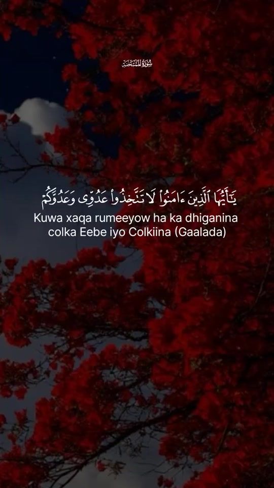 TikTok video thumbnail by quran.com663