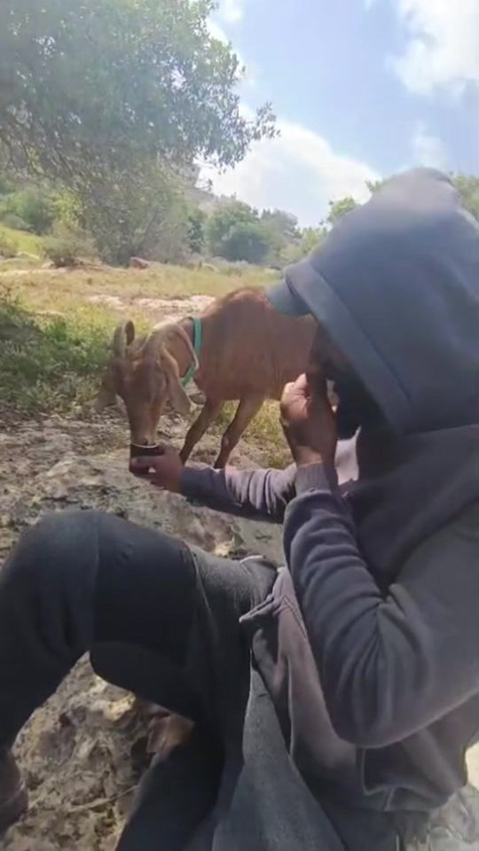 TikTok video thumbnail by alalmane745