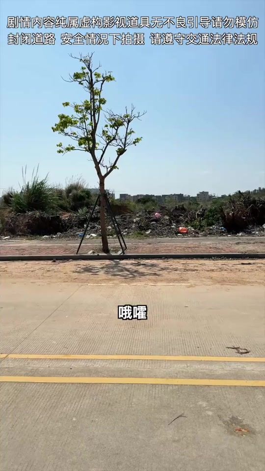 TikTok video thumbnail by wyls002