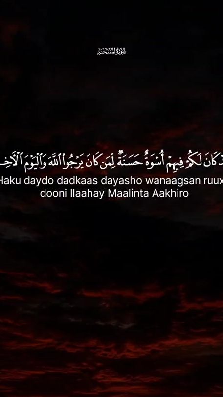 TikTok video thumbnail by quran.com663