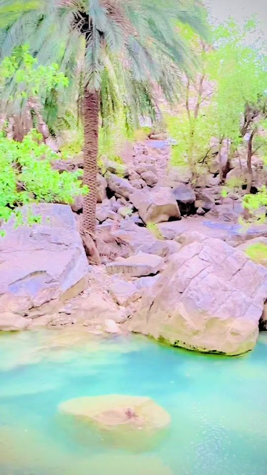 TikTok video thumbnail by channal76