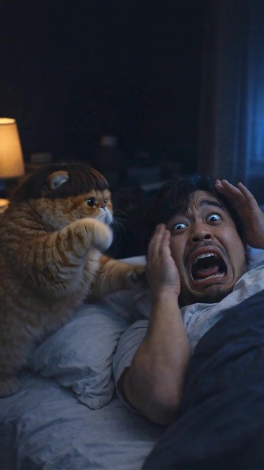TikTok video thumbnail by fatcat.ai.th