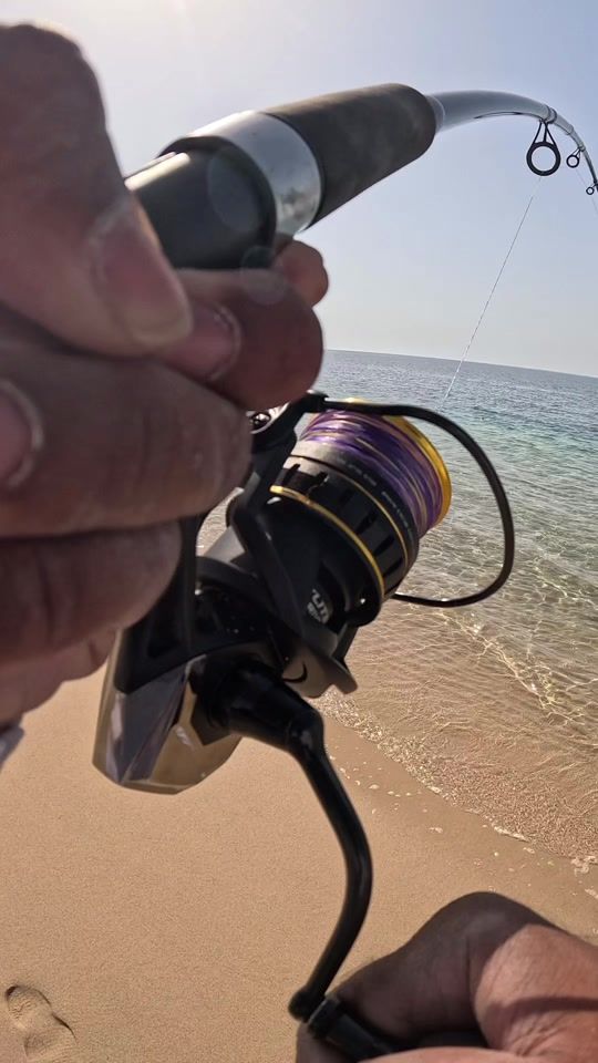 TikTok video thumbnail by fishing_rover