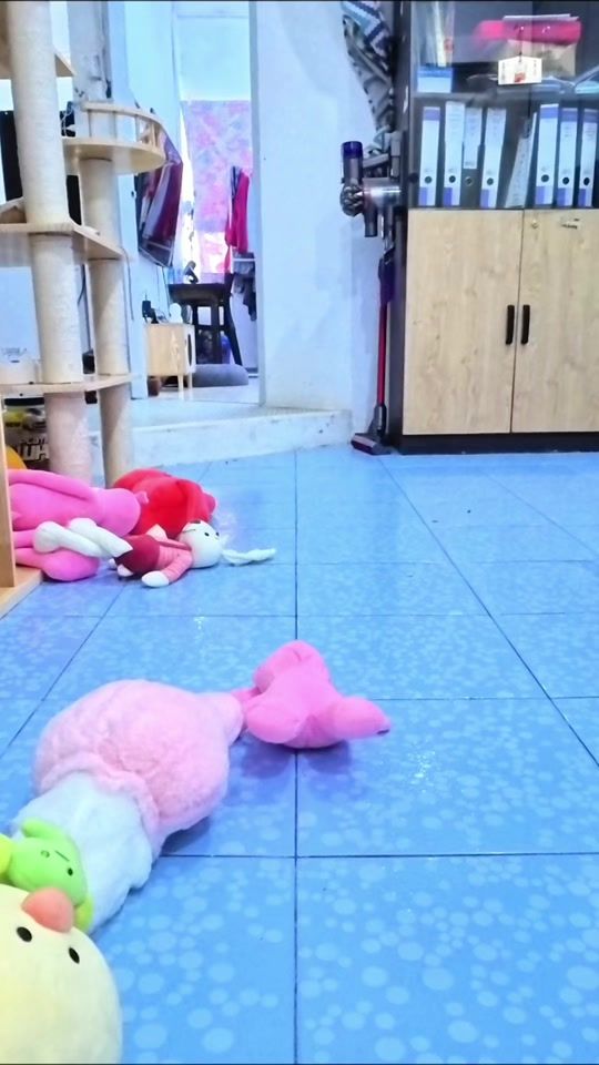 TikTok video thumbnail by mr_die_die