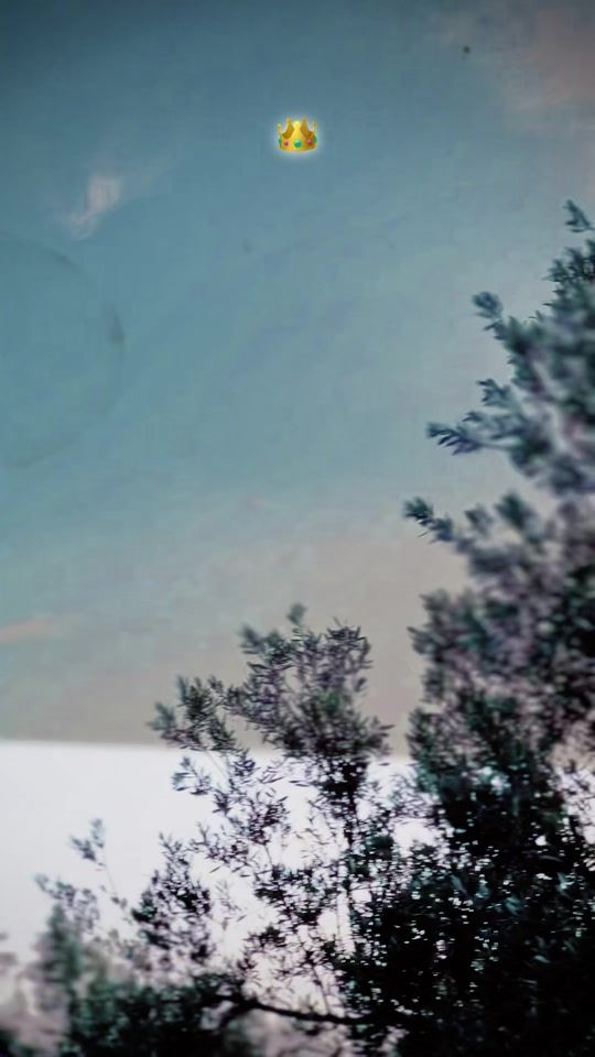 TikTok video thumbnail by .salem____2007