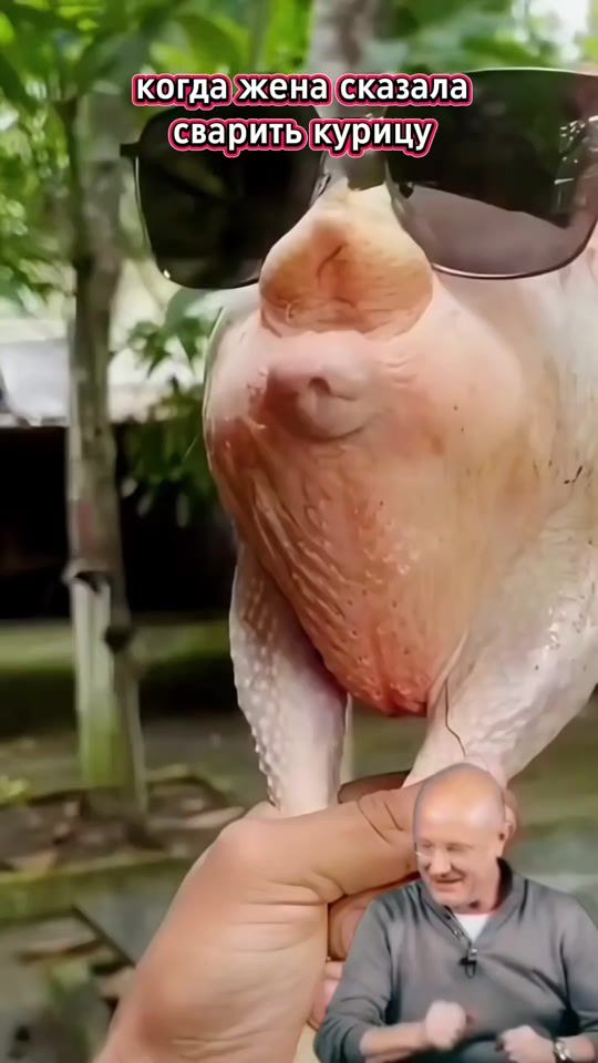 TikTok video thumbnail by kubik4291