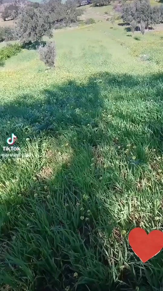TikTok video thumbnail by user21273928007445