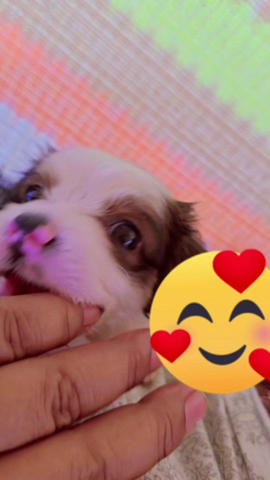 TikTok video thumbnail by juditgarcia359