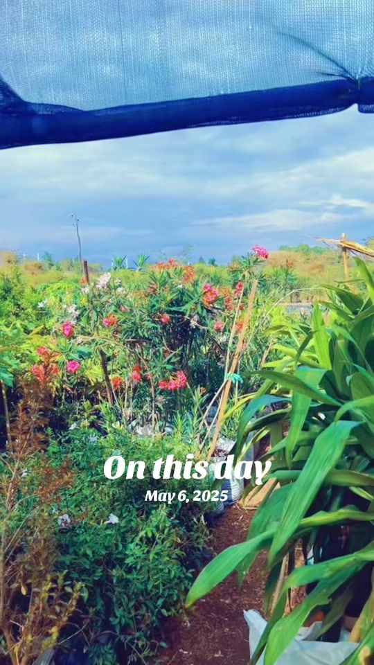 TikTok video thumbnail by user9900877736973