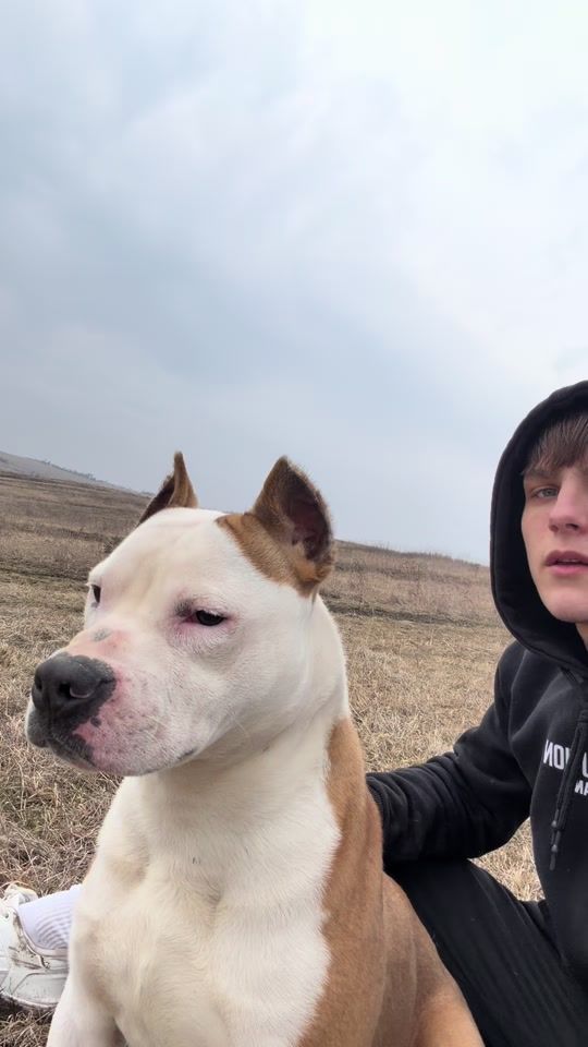 TikTok video thumbnail by prodan_vlad