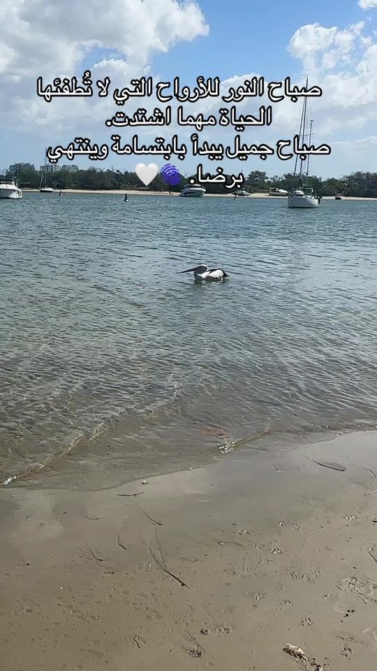 TikTok video thumbnail by m_a_noosh_111