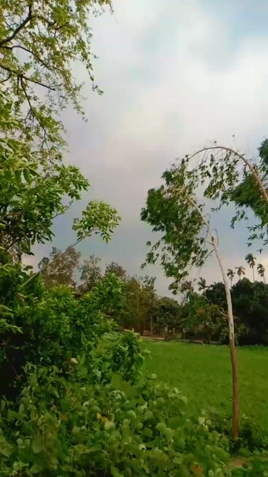 TikTok video thumbnail by limaakther135