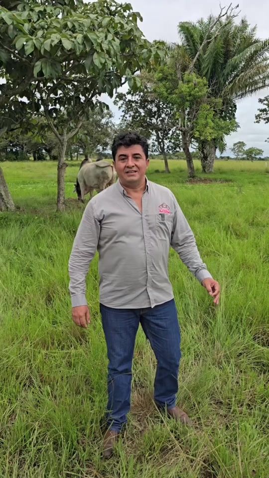 TikTok video thumbnail by g3bolivia