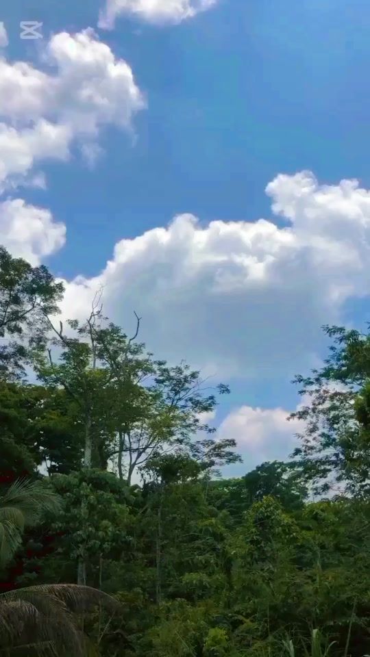 TikTok video thumbnail by ruwan__chamara