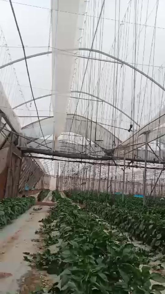 TikTok video thumbnail by intiya08