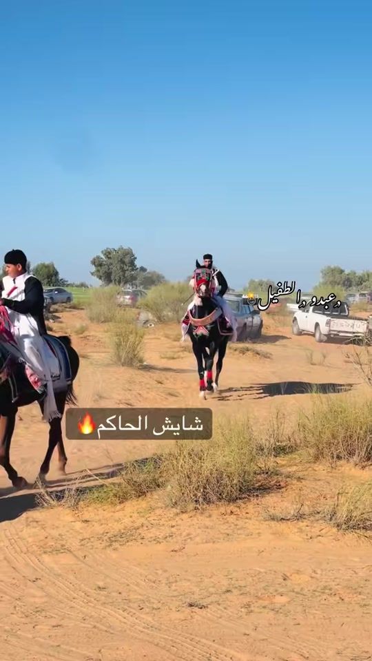 TikTok video thumbnail by abdo_26.ali