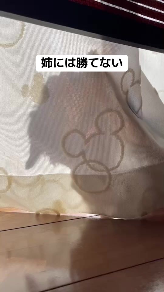 TikTok video thumbnail by harugram_yade