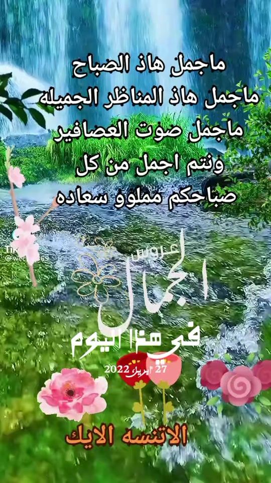 TikTok video thumbnail by nomd427