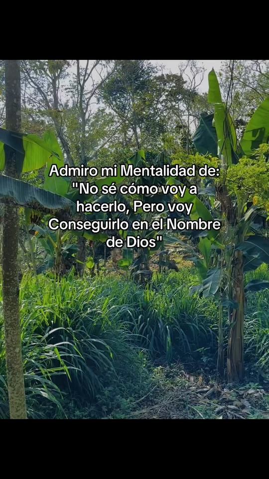 TikTok video thumbnail by mauriciomelgar50