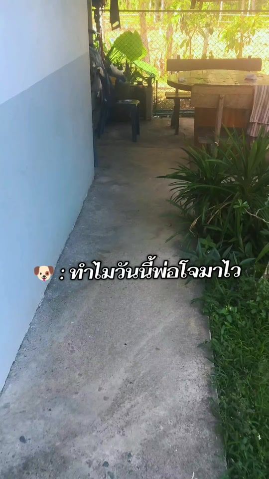 TikTok video thumbnail by ptrk942