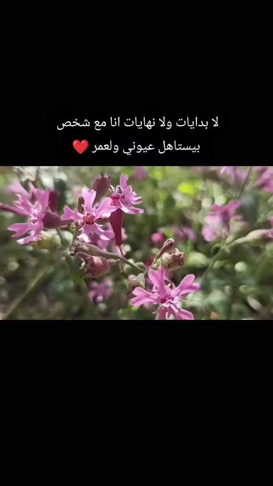 TikTok video thumbnail by roro.1aaaa