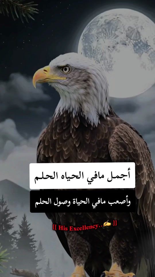 TikTok video thumbnail by user6618629817790