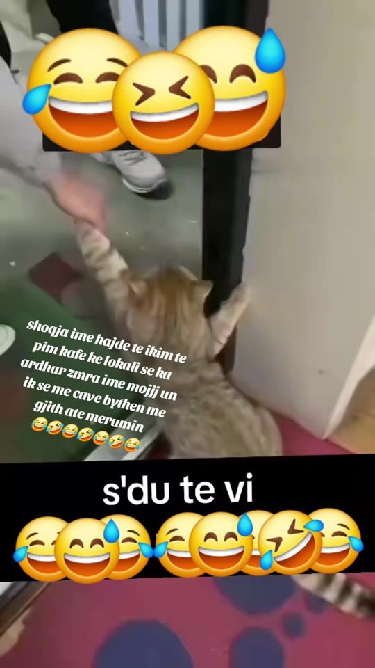 TikTok video thumbnail by te.dua49