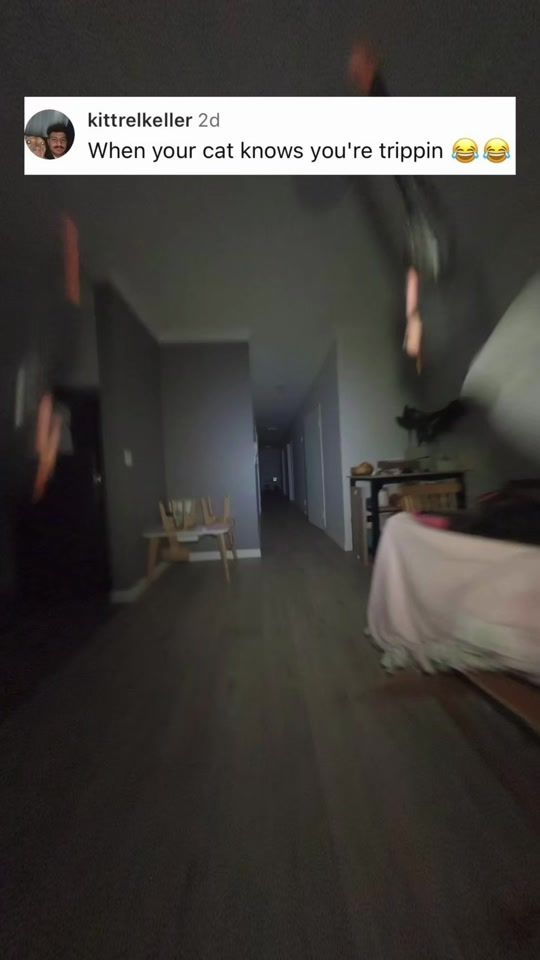 TikTok video thumbnail by brayhavard