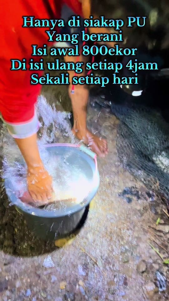 TikTok video thumbnail by siakappu