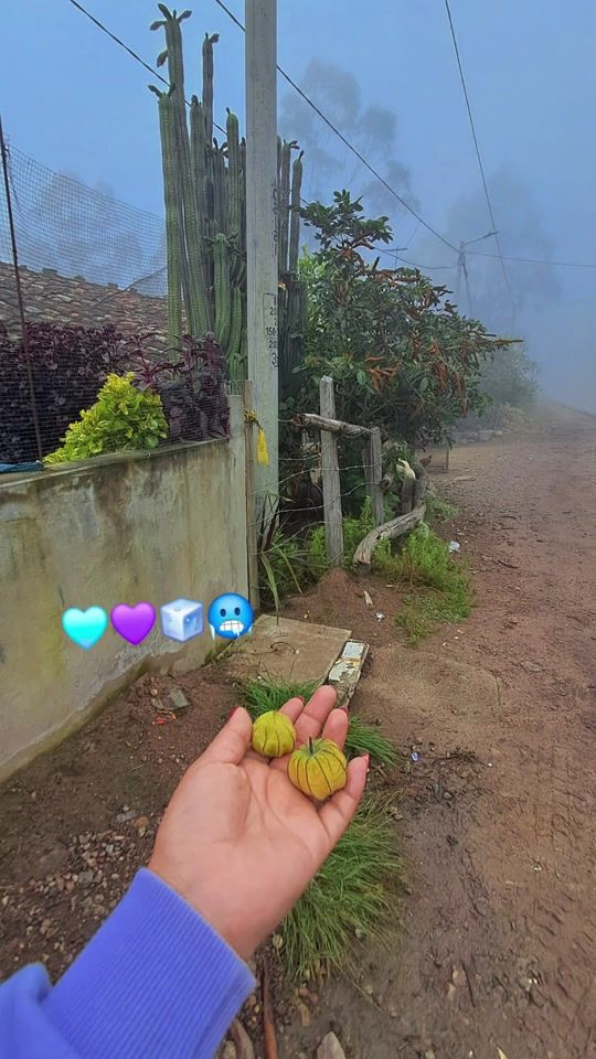 TikTok video thumbnail by fani1chinchay