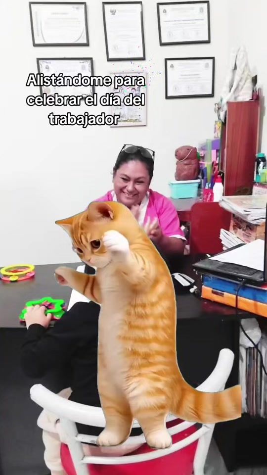 TikTok video thumbnail by set.misprimerospasos