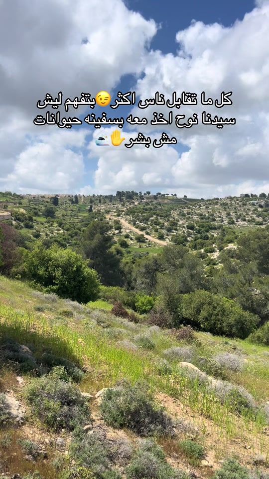 TikTok video thumbnail by ismailamro22