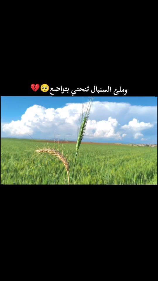 TikTok video thumbnail by ah.md20_
