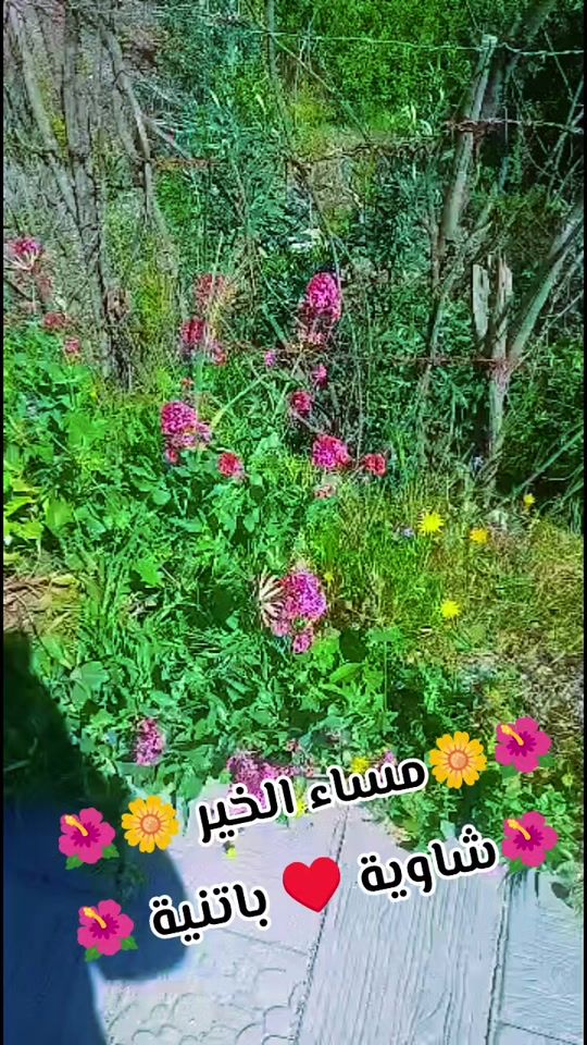 TikTok video thumbnail by chawia_05_05
