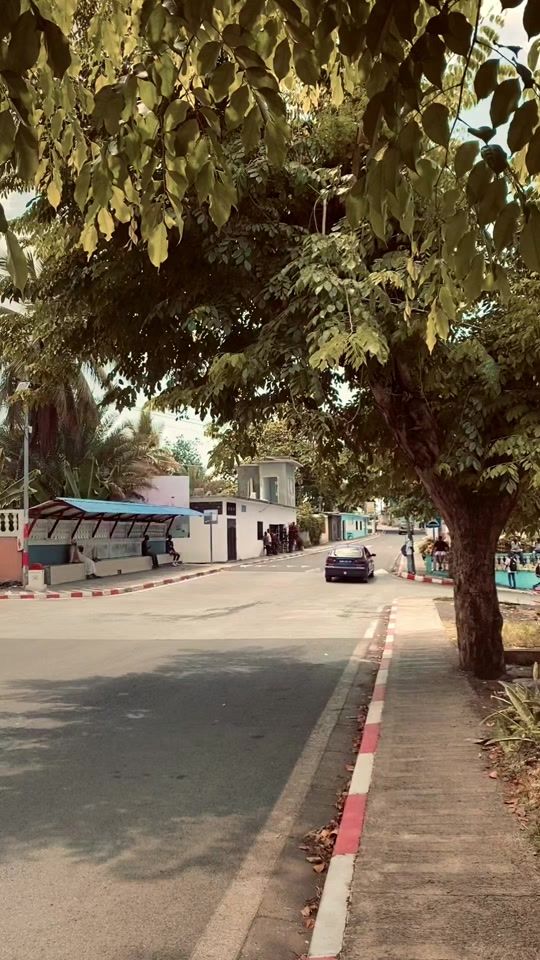 TikTok video thumbnail by lynxsnoopy89