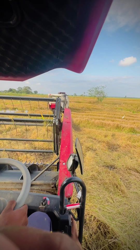 TikTok video thumbnail by shanilka_0