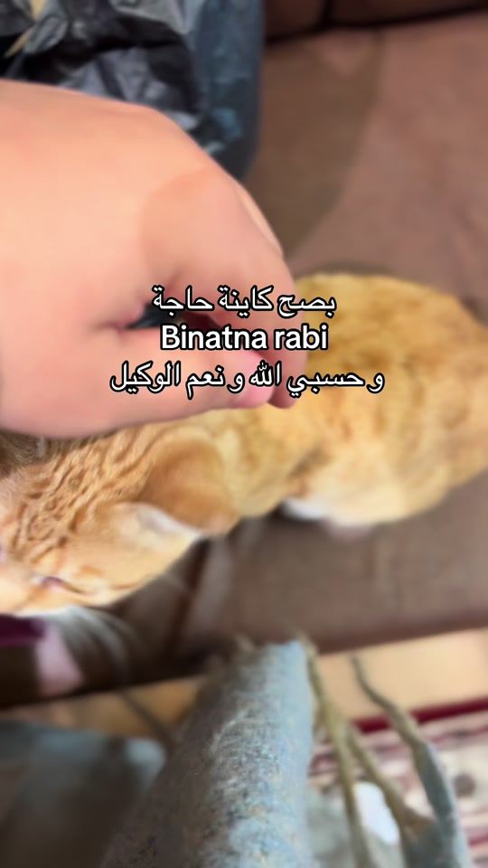 TikTok video thumbnail by chima_creation