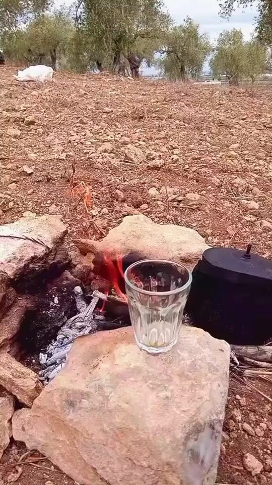 TikTok video thumbnail by maham1582