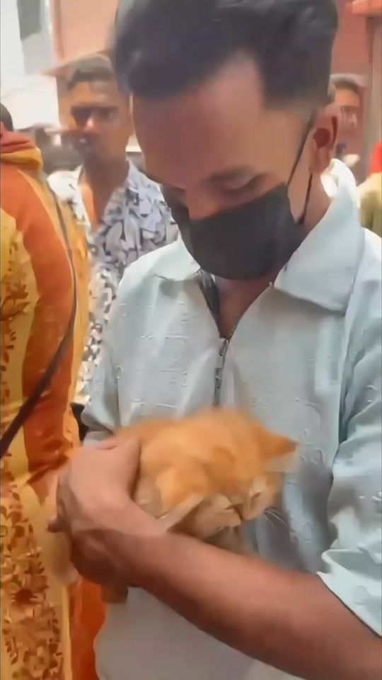 TikTok video thumbnail by abu_official_09