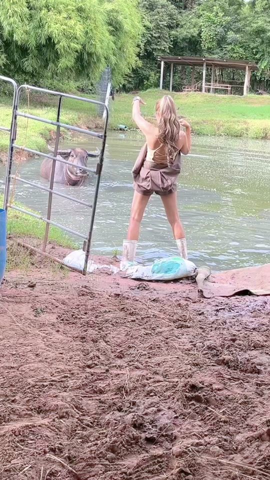 TikTok video thumbnail by dcr.farm0