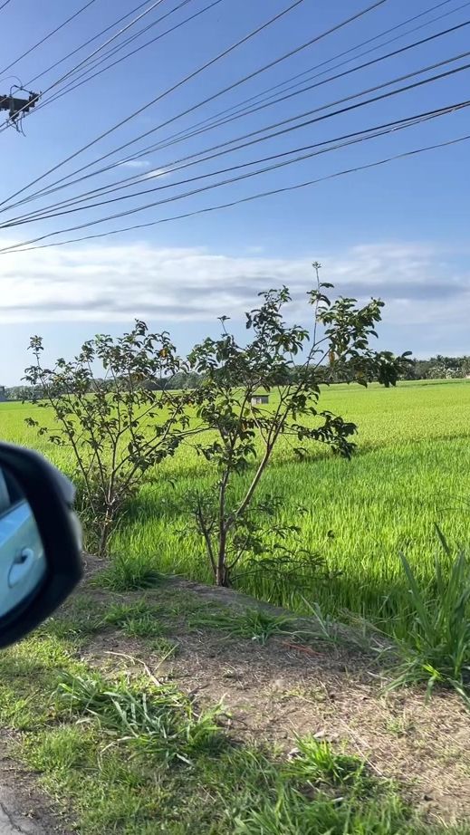TikTok video thumbnail by asianpakboi