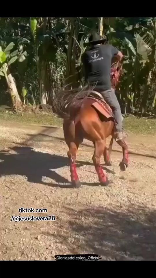 TikTok video thumbnail by jesuslovera28