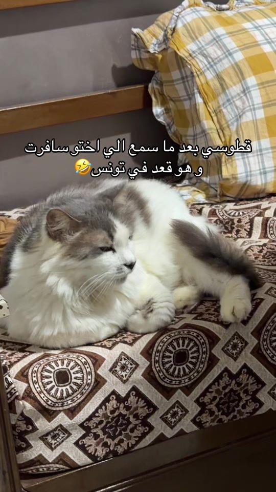 TikTok video thumbnail by yasmine.atig
