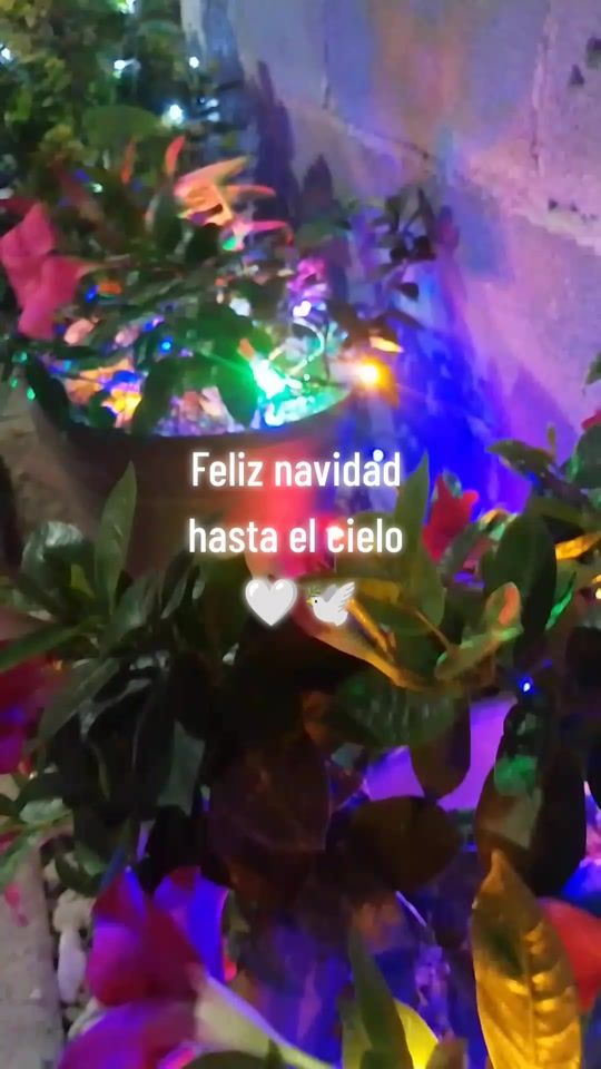 TikTok video thumbnail by melbaaraceli
