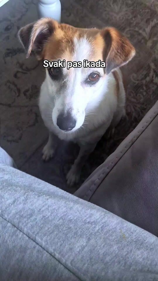 TikTok video thumbnail by micubisica