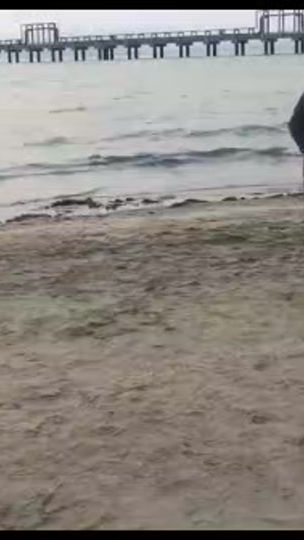 TikTok video thumbnail by rahulneslley