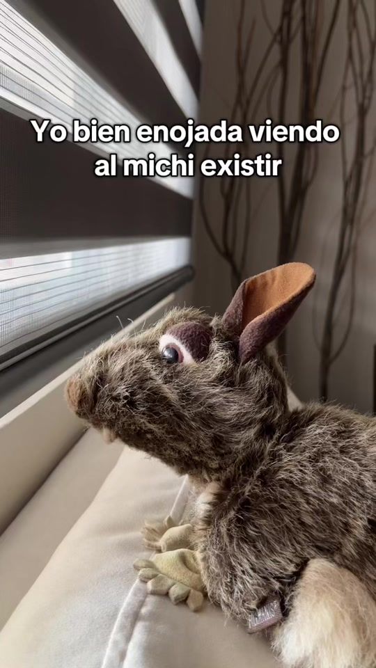 TikTok video thumbnail by ramonatherat