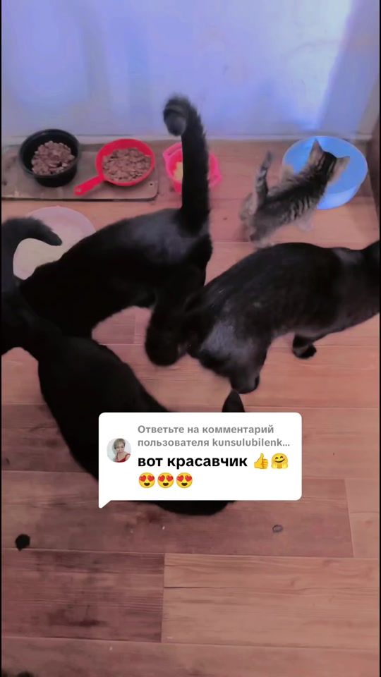 TikTok video thumbnail by zarema9.8